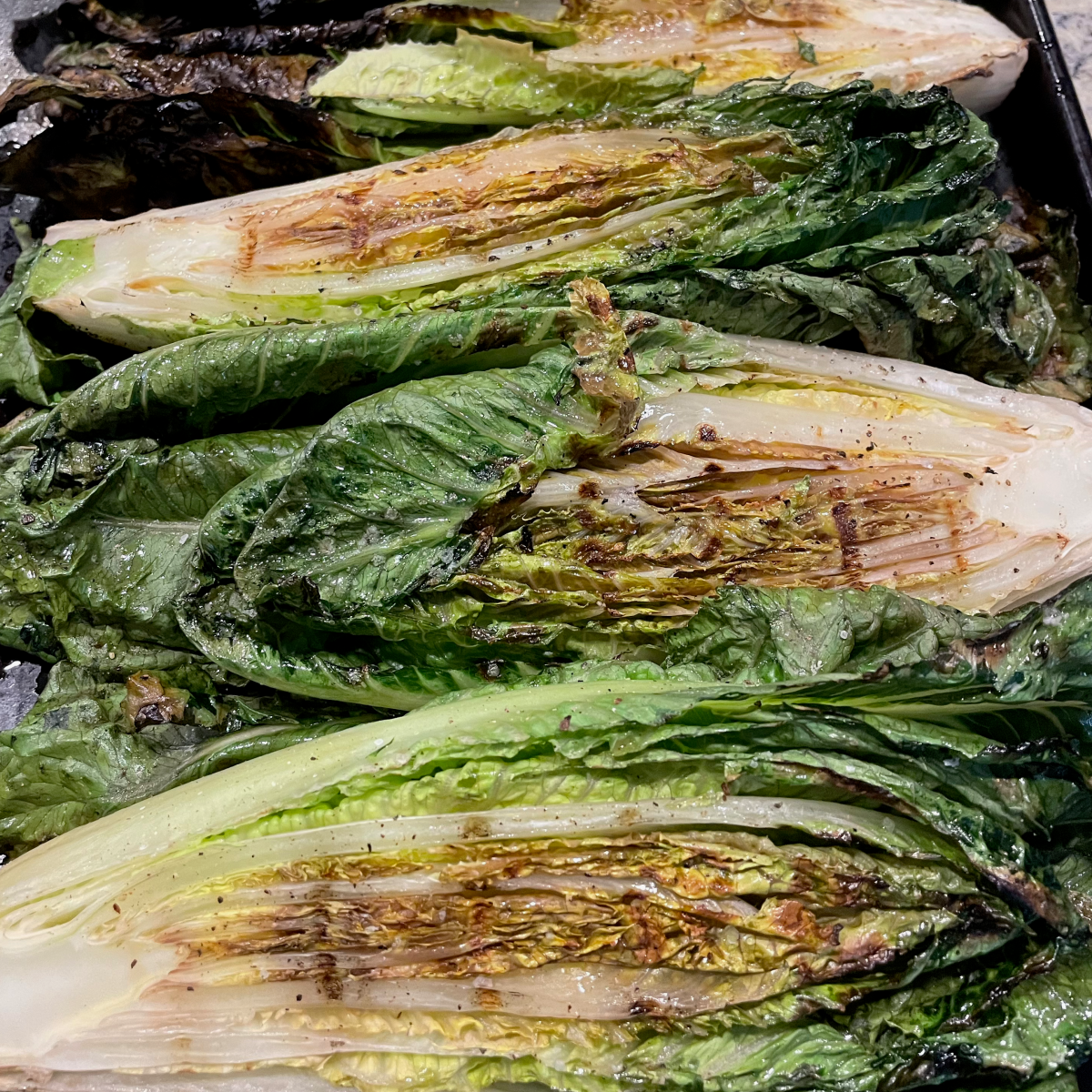 Quick and Easy Grilled&nbsp;Romaine