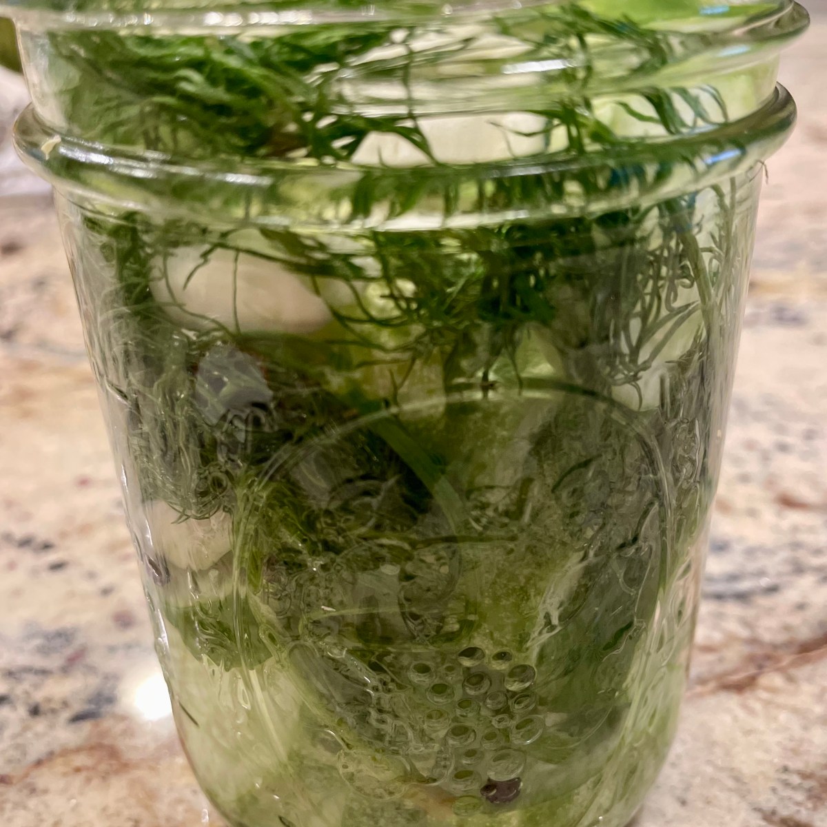 🥒 Quick Refrigerator Dill&nbsp;Pickles