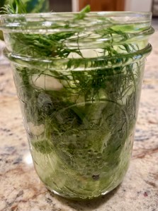 🥒 Quick Refrigerator Dill&nbsp;Pickles